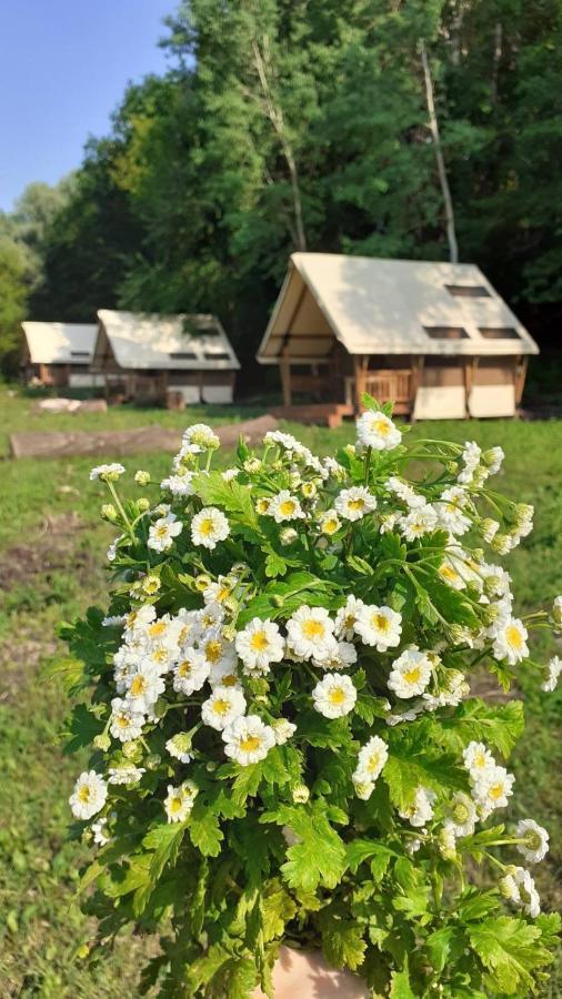 Глемпінг Шатро Ul'yaniki Exterior foto